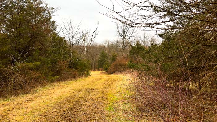 Winchester Ohio aerial view of two ponds and surrounding habitat