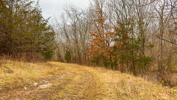 Winchester Ohio aerial view of mature timber blocks for deer bedding