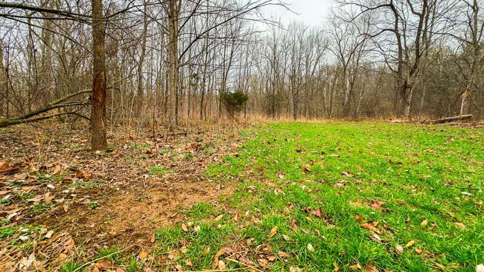 Winchester Ohio maintained trail connecting fields timber and food plots