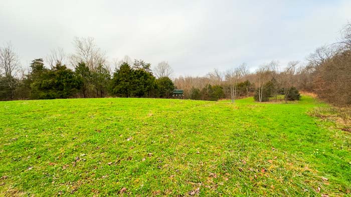 Winchester Ohio established food plot on big buck country farm