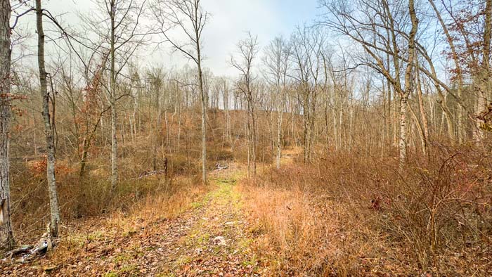 Winchester Ohio grain field view on 113 acres currently farmed