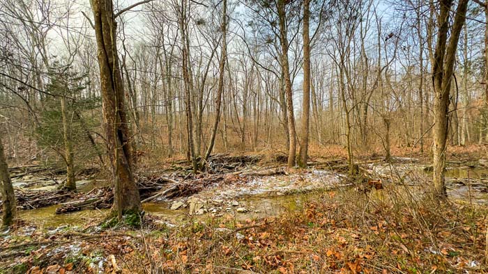 Winchester Ohio rolling field scene with scenic southern Ohio backdrop