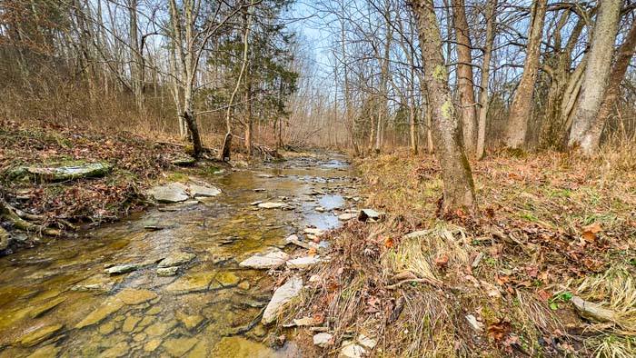 Winchester Ohio timber ridge view with wildlife travel corridors