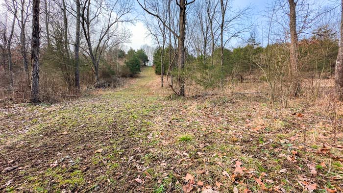 Winchester Ohio wooded area view with mature trees and hunting cover