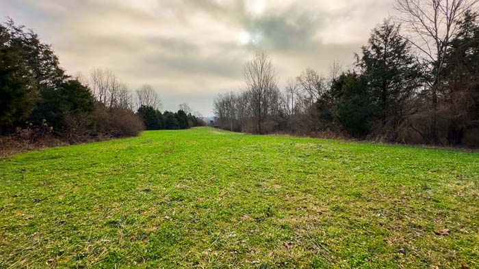 Winchester Ohio habitat view with food plot access and timber cover