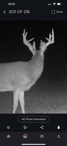 Winchester Ohio food plot view designed for deer management goals