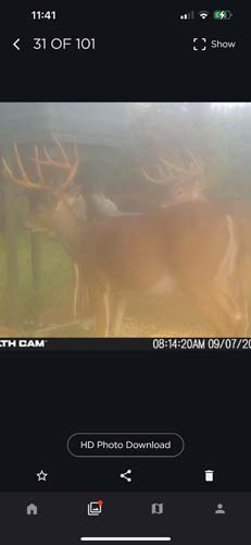Winchester Ohio hunting corridor view in big buck country farmland
