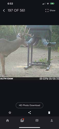 Winchester Ohio timber edge view for spring turkey hunting habitat