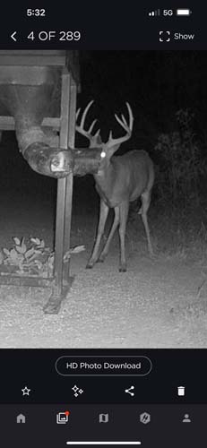 Winchester Ohio open habitat view with potential quail cover improvement