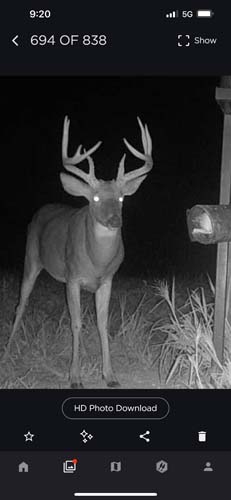Winchester Ohio farm trail view for quiet access to stands and blinds