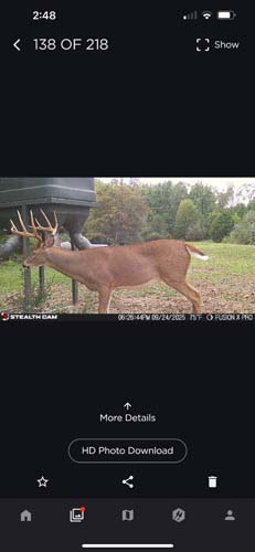 Winchester Ohio field corner view with deer movement and staging area