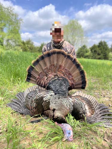 Winchester Ohio stair and hallway view inside fully remodeled home