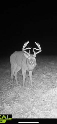 Winchester Ohio interior view showing new doors trim and lighting
