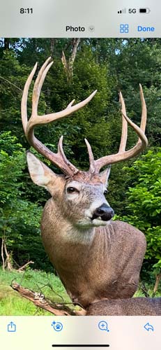 Winchester Ohio basement locker room style storage for hunting clothes