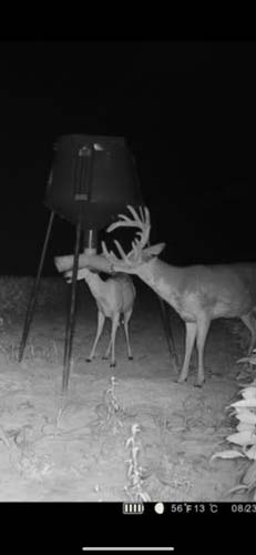 Winchester Ohio partially finished basement designed for outdoorsman use