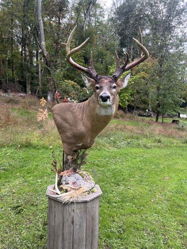 Winchester Ohio signature aerial view of 278 acre farm in big buck country