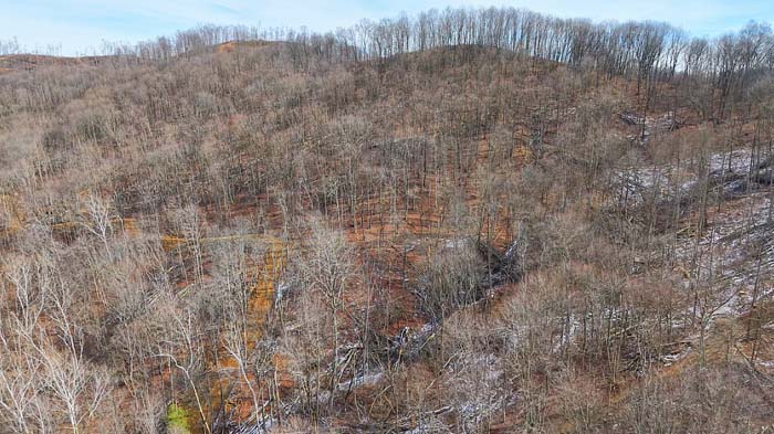 Timber cover and browse on compact 14.5 acre hunting tract near Waverly Ohio