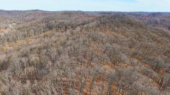 Interior trail and timber cover on Ohio hunting land near Wayne National Forest