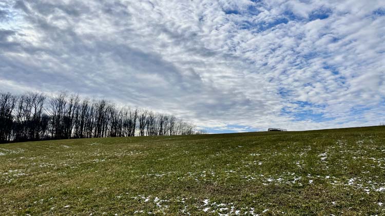 Scenic wooded acreage with creek and bedding areas in Harrison County Ohio