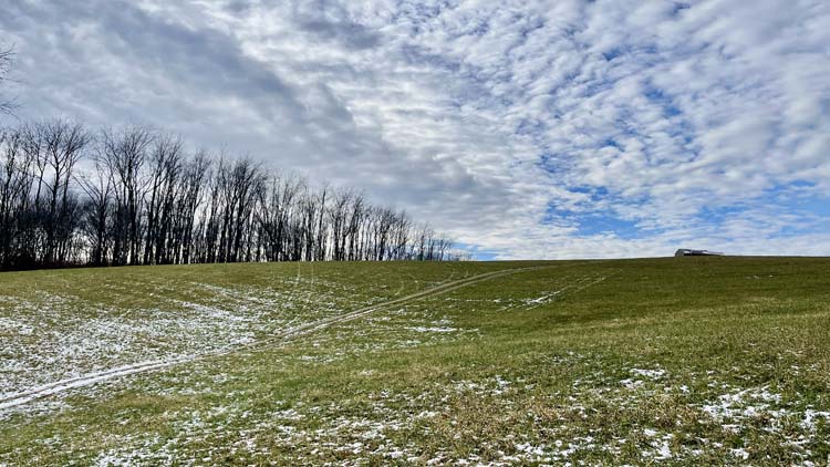 Open field building area on private Harrison County Ohio retreat property