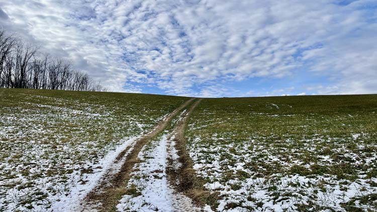 Hunting property in Harrison County Ohio with diverse cover and hardwoods