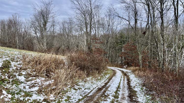 Ohio cabin site option with electric available near entrance on Arbaugh Road