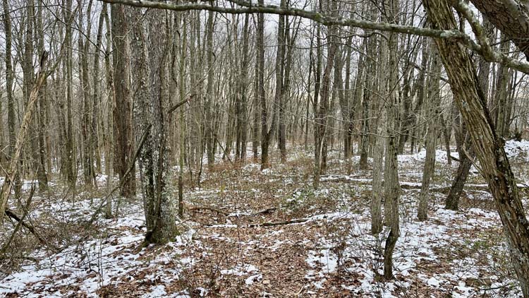 Gravel township road access to Harrison County Ohio land tract