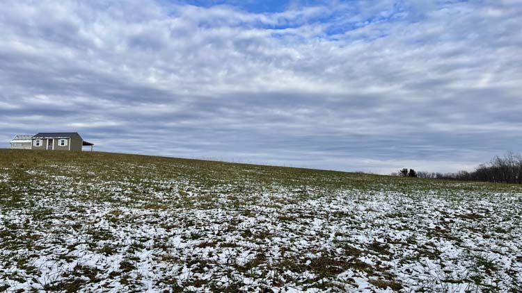 Timbered hillside terrain with oak and cherry in Harrison County Ohio