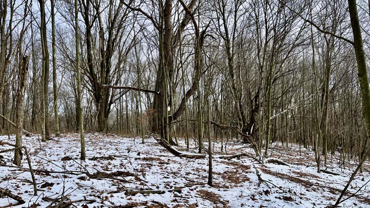 Storage cabin on quiet hillside property in Harrison County Ohio