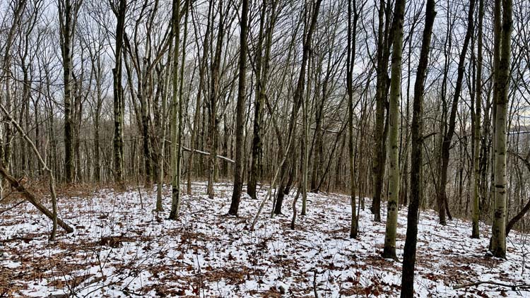 Rain catch greenhouse system on rural Ohio retreat property