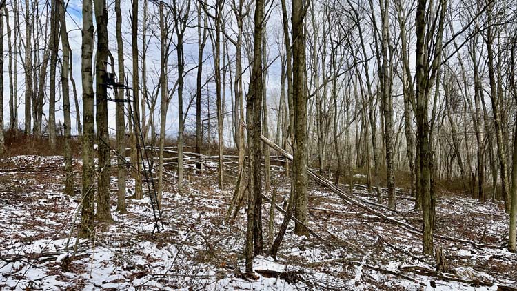 Aerial showing open building site and wooded acreage in Harrison County Ohio