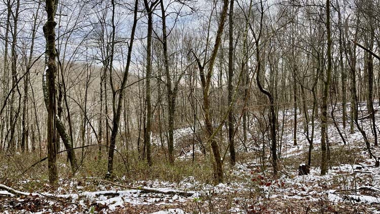 Scenic rural Harrison County Ohio parcel with open hilltop and wooded slopes