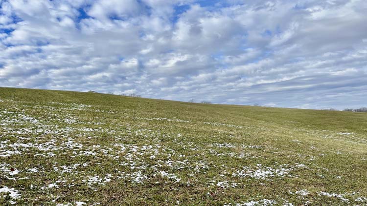 Ohio hunting retreat with bedding areas hillsides and hardwood timber