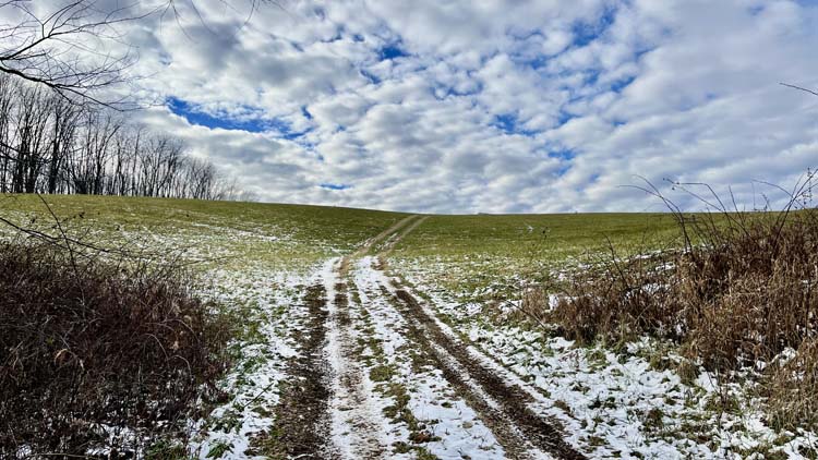 Wooded hillside terrain ideal for hunting in Harrison County Ohio