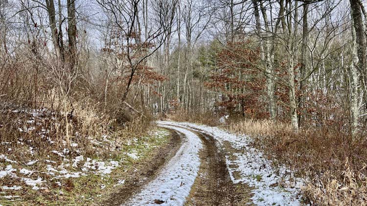 Open hillside field on 19.62 acre Harrison County Ohio property