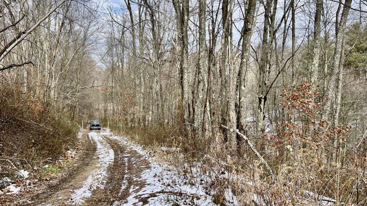Creek and wooded ravine on Harrison County Ohio land