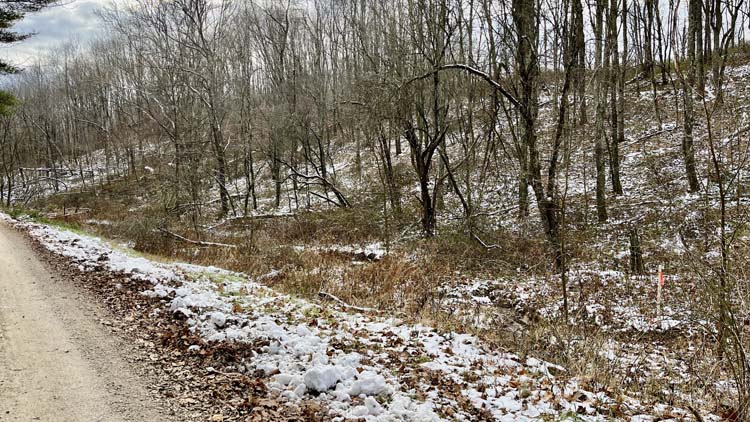 Harrison County Ohio retreat with greenhouse cabin and open field