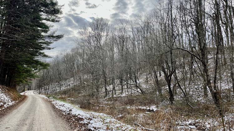 Scenic hillside view over wooded acreage in Harrison County Ohio