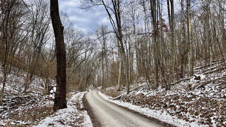 Mix of open and wooded land ideal for recreation in Harrison County Ohio