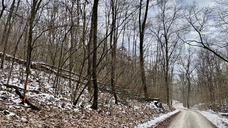 Private cabin site set on high ground in Harrison County Ohio