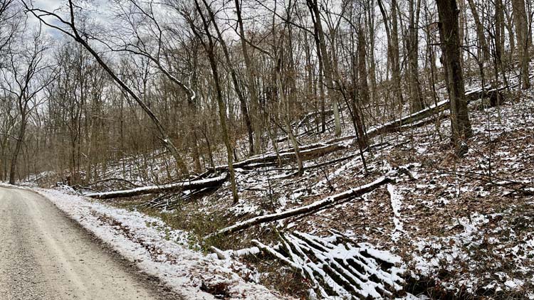 Ohio getaway property with timber and creek bed habitat
