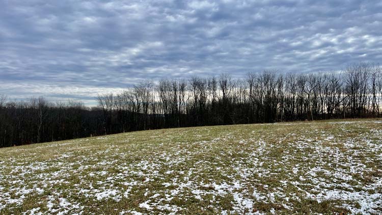 Greenhouse with rain catch system on 19.62 acres in Harrison County Ohio