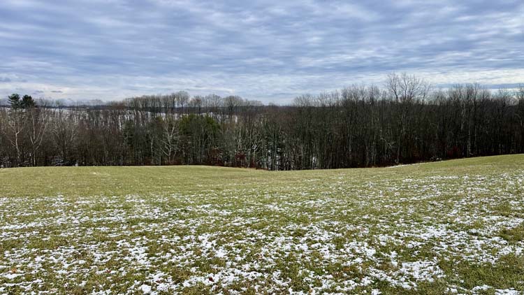 Harrison County Ohio property with building site open field and wooded acreage