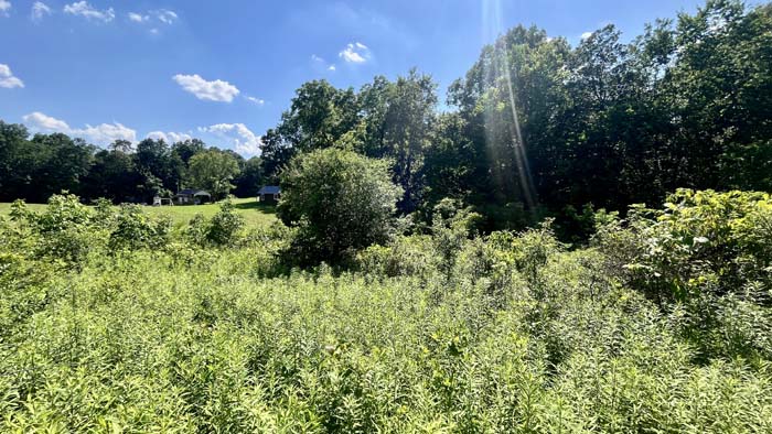 Natural landscape with excellent wildlife habitat.