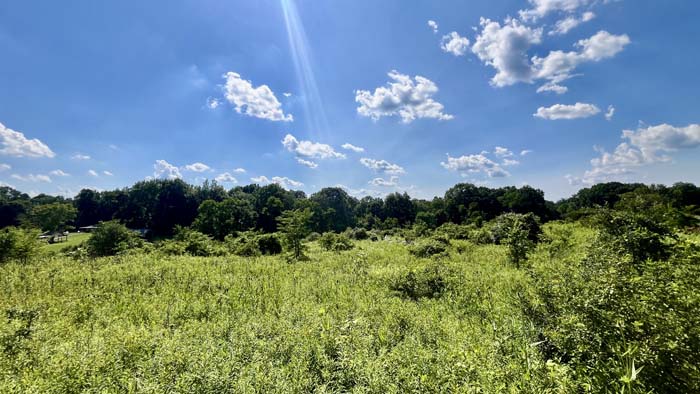 Secluded setting near Appalachian Hills Wildlife Area.