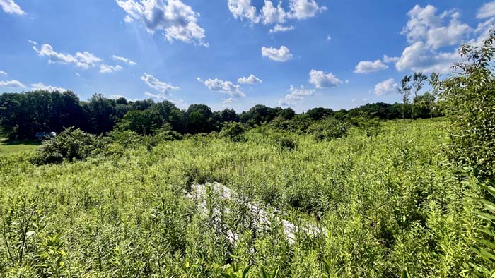 Wide angle view of open land ready for building.