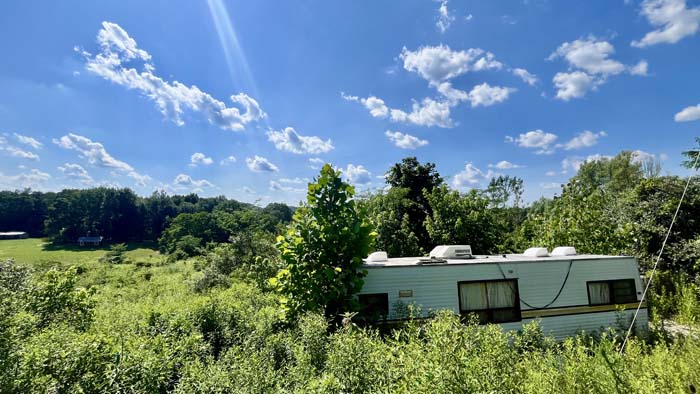 Open clearing with gentle slope ideal for cabin or homesite.