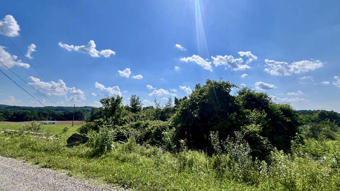 Gently rolling terrain perfect for building or recreational use.