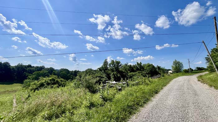 Pastureland transitioning to mature natural growth.