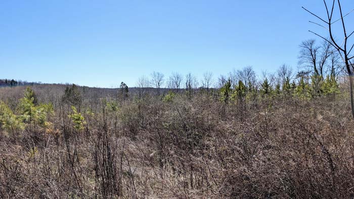 Rural land with gentle elevation changes